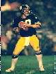 Terry Bradshaw image