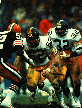 Franco Harris and Mike Webster image